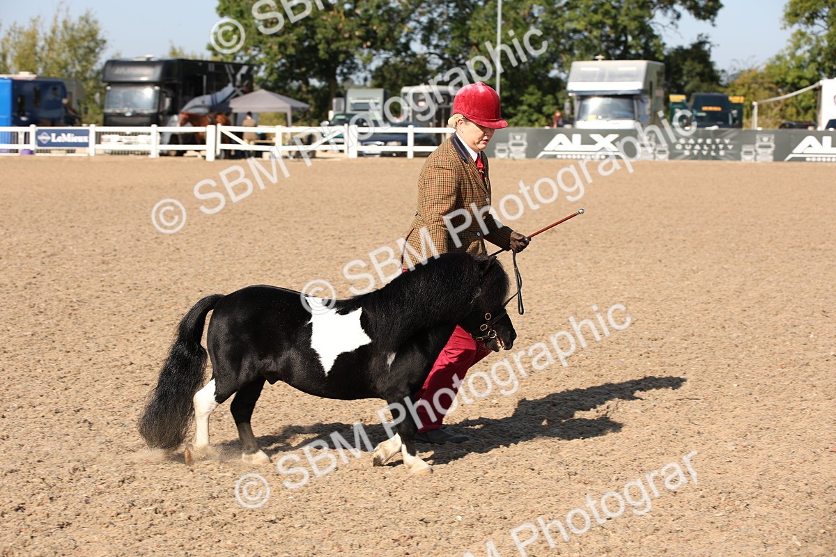 SBM_01525 - Class 15 IH Coloured