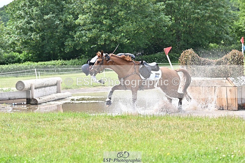 260531A-151129-24469 - G-773-Tommy.Greengard