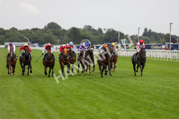 120724-Race 6-The Coffee Pod-1802 - Race 6 4.55pm Irish Thoroughbred Marketing Handicap