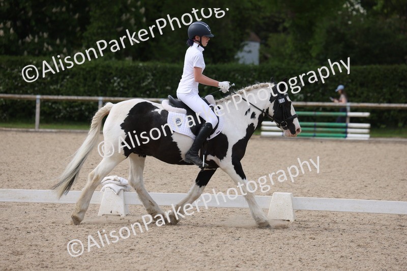 20260502-1065 - Class 9 - Novice 1