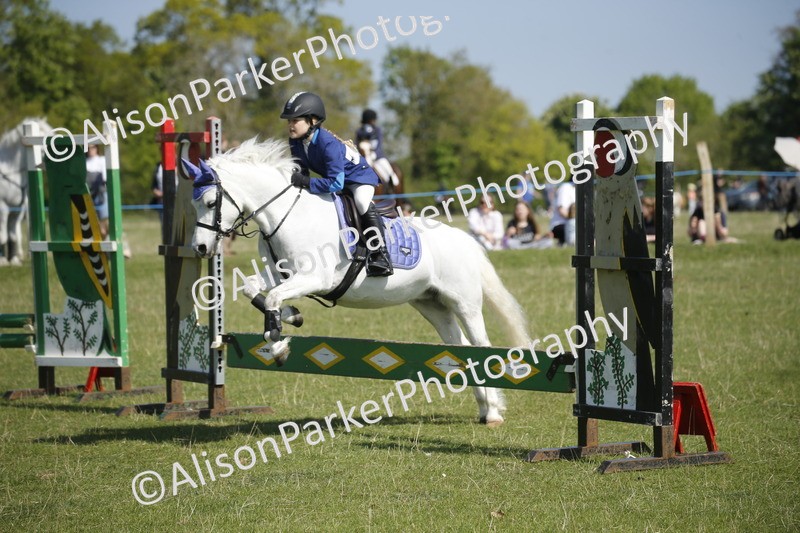 20250427-2053 - Class 13 - Novice Jumping 60cm