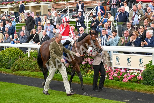 230824-Race 4-Bradsell-9068 - Race 4 3.35pm Coolmore Wootton Bassett Nunthorpe Stakes
