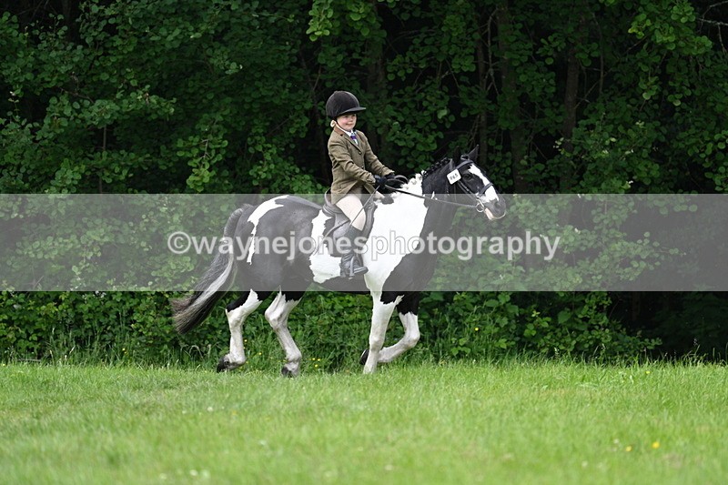 WJ7_2009 - Class 12A Coloured Class