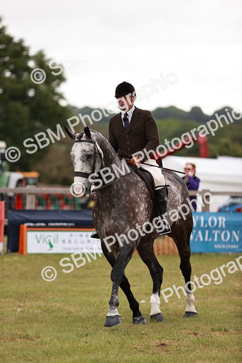 SBM_10922 - Class 81-84 - RIHS Ridden hunters Inc Ladies Hunter