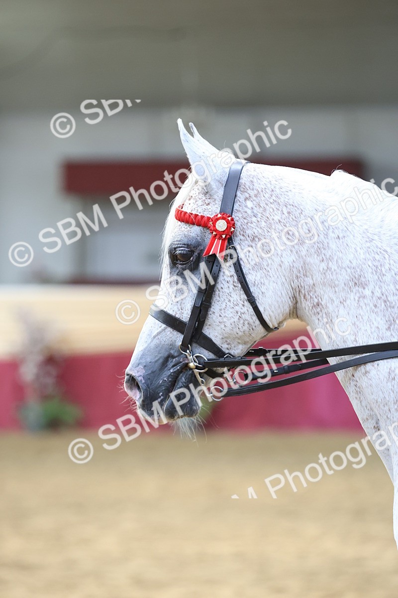 SBM_23631 - class 906 - Supreme Final - Ridden Pre Vet