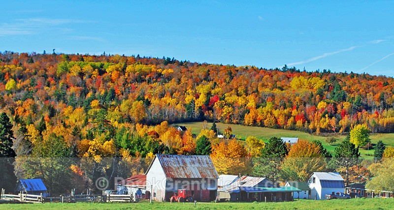 Rural Farm in Autumn New Brunswick Canada - Autumn Foliage