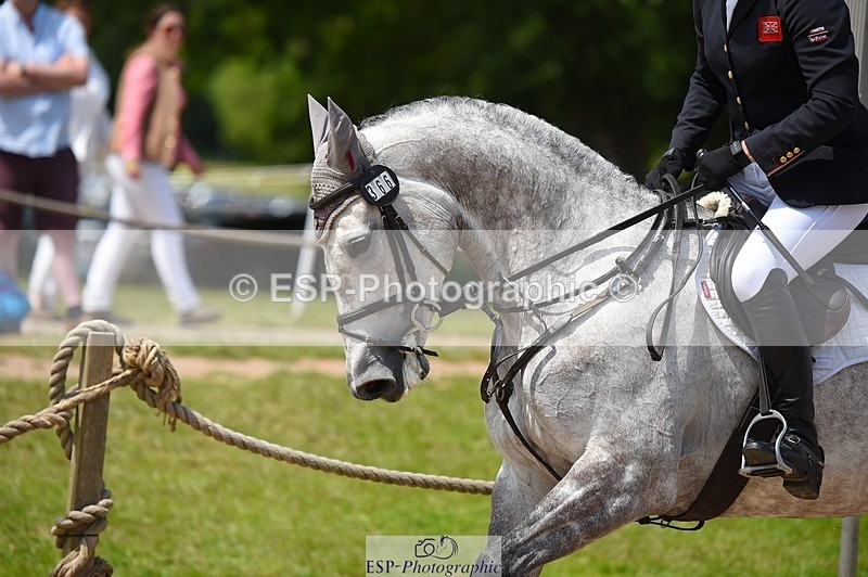 230528-124558-15842 - 366-KILMINGTON_FOLLY-Kristina_Cook-SUNTrotUp+SJ