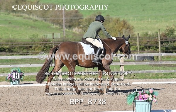BPP_8738 - SHORT ARENA