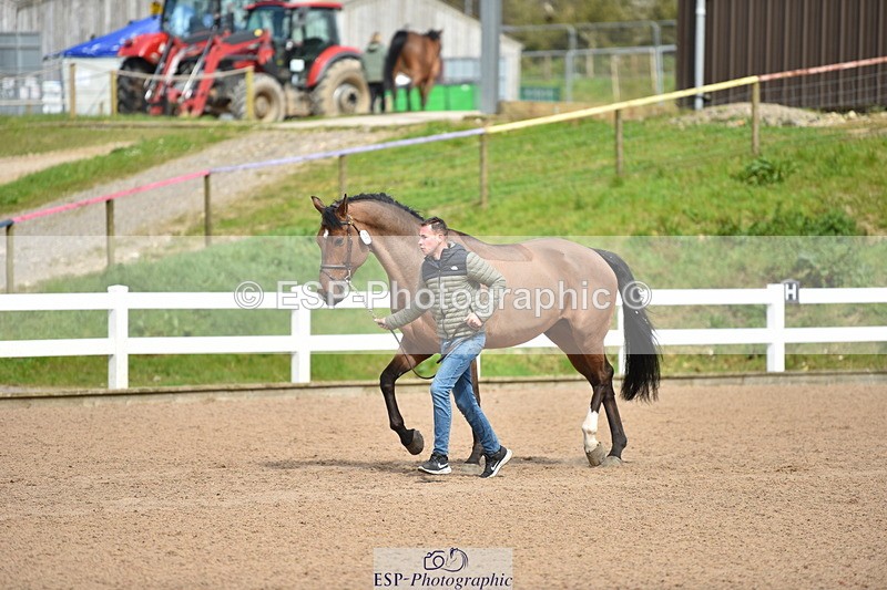 240417A-143532-00577 - 2pm to 3pm