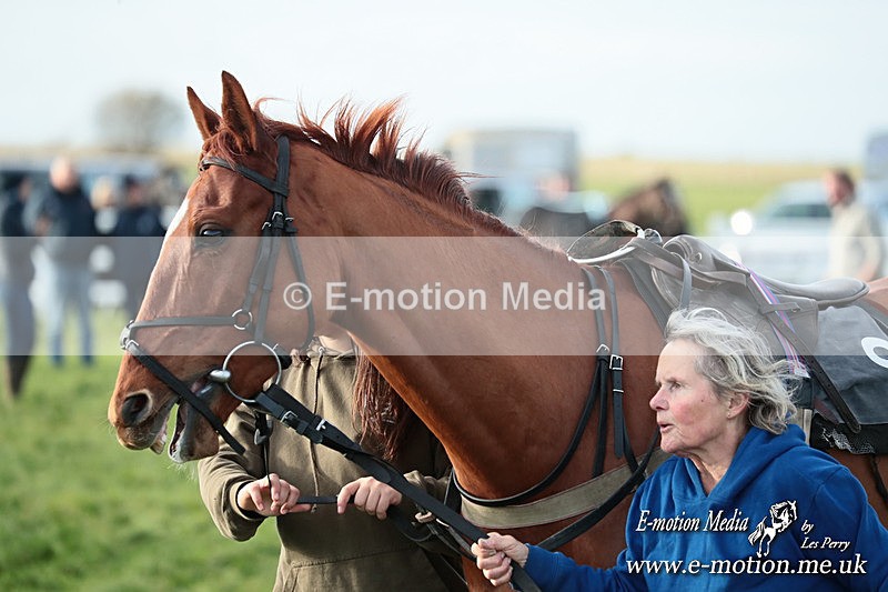 PtP 141225  1026 - New Forest Hounds PtP Larkhill 14/12/25