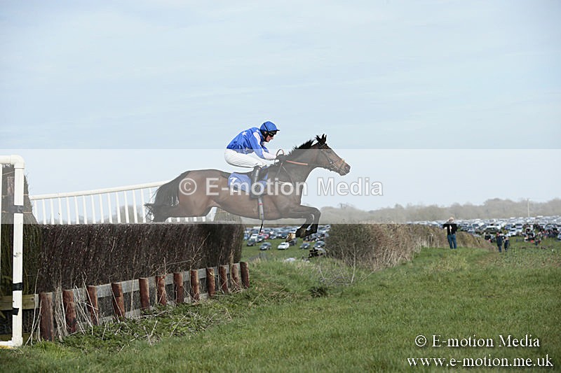 PtP 230319 371 - VWH Hunt Siddington Point-to-Point Racing 23/03/19