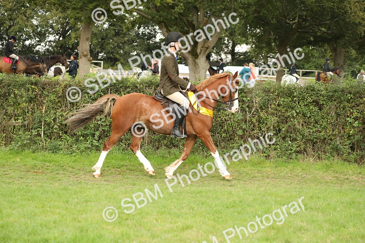 SBM_75354 - Equitation Supreme Championship