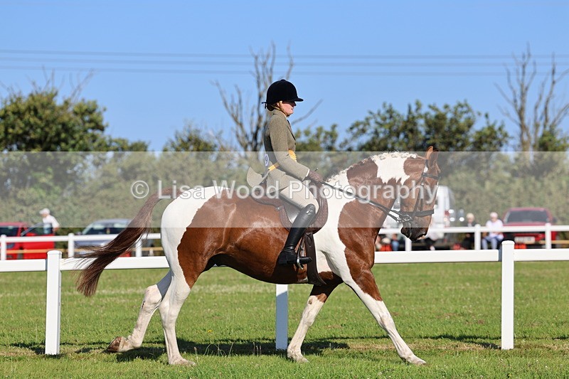 IMG_1359 - Class 27: Ridden Plaited Coloured Horse