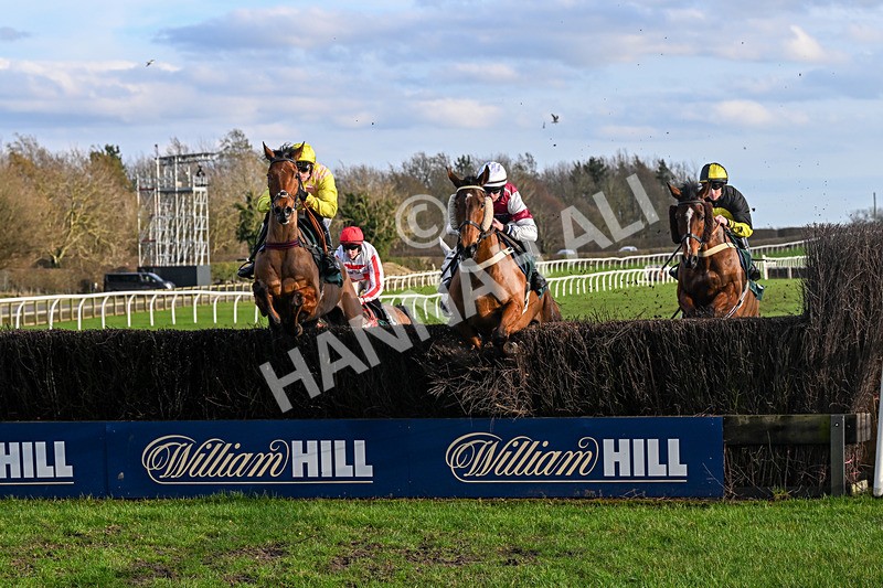 240226-Race 5-Chasingouttheblues-7029 - Race 5