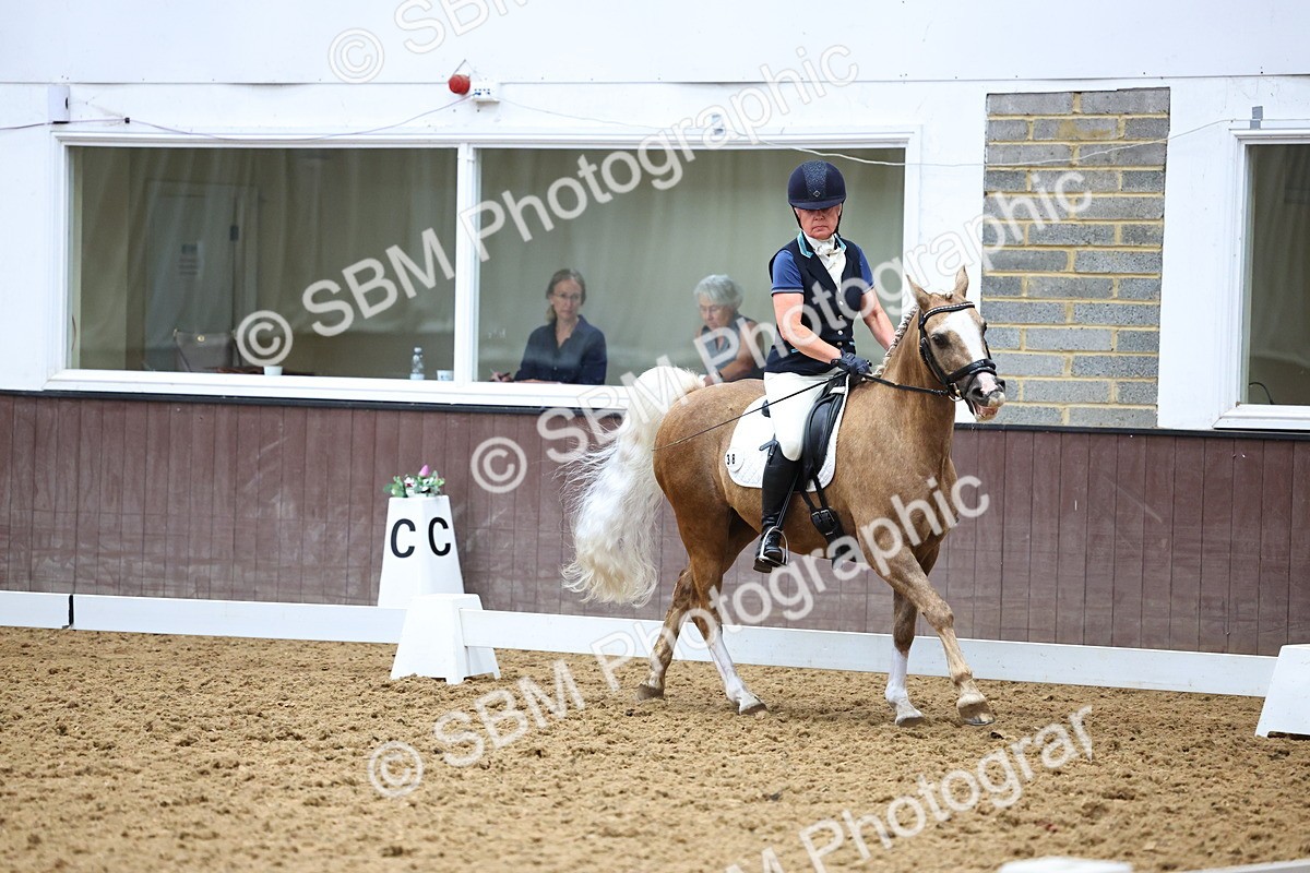 SBM_005573 - Elementary 2