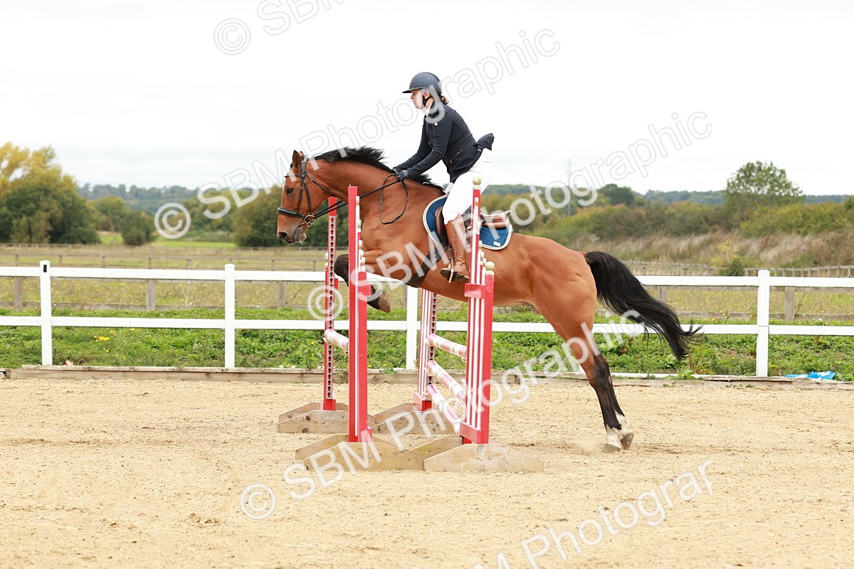 1I0A6852 - Class 2 - Senior British Novice