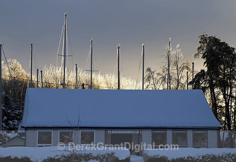 Icy Masts - Winterscape