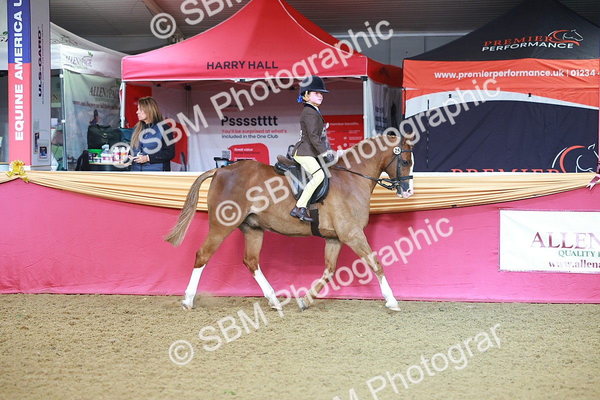 SBM_07652 - Class 101 - HOYS Veteran Qualifier - Ridden Diamond