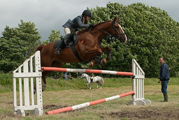16 - Moniaive Horse Show 2010