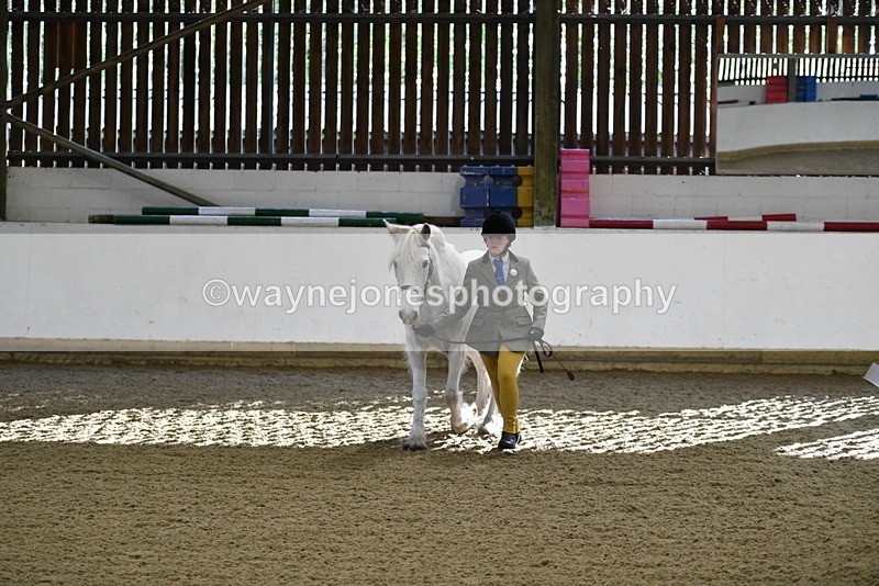 WJ5_3545 - Class 5 In Hand Veterans