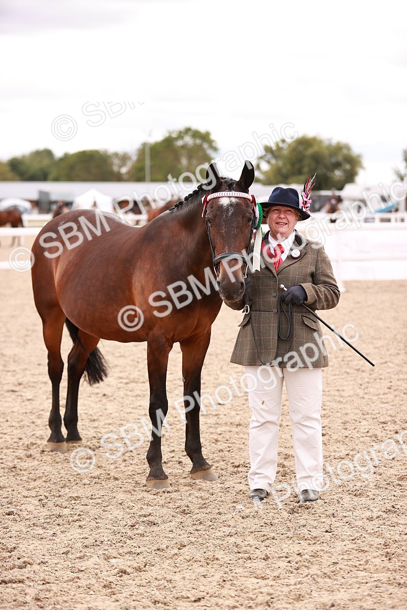 SBM_16875 - Class414 - Best maine & Tail - Adult