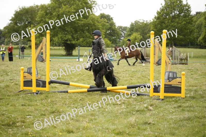 20250517-0866 - Class 2 - 30cm Off Lead Rein
