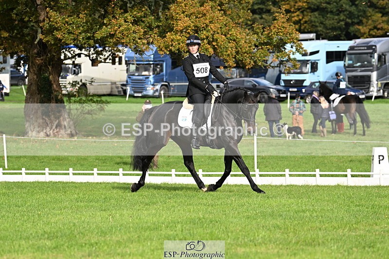 251023A-103934-02564 - G-508-Charlotte.Lee