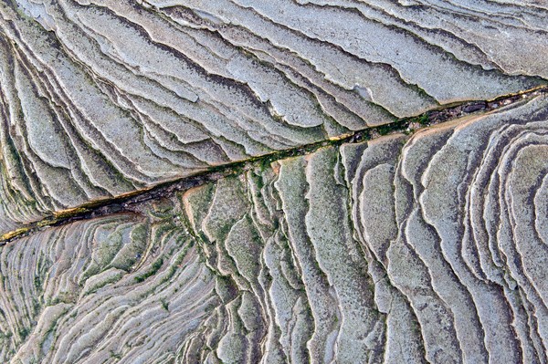  - Vermiculations