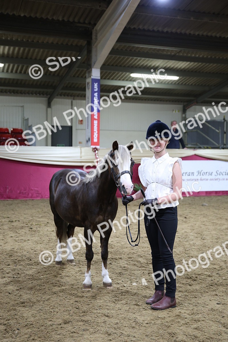 SBM_18769 - Class D IH Pony Champ