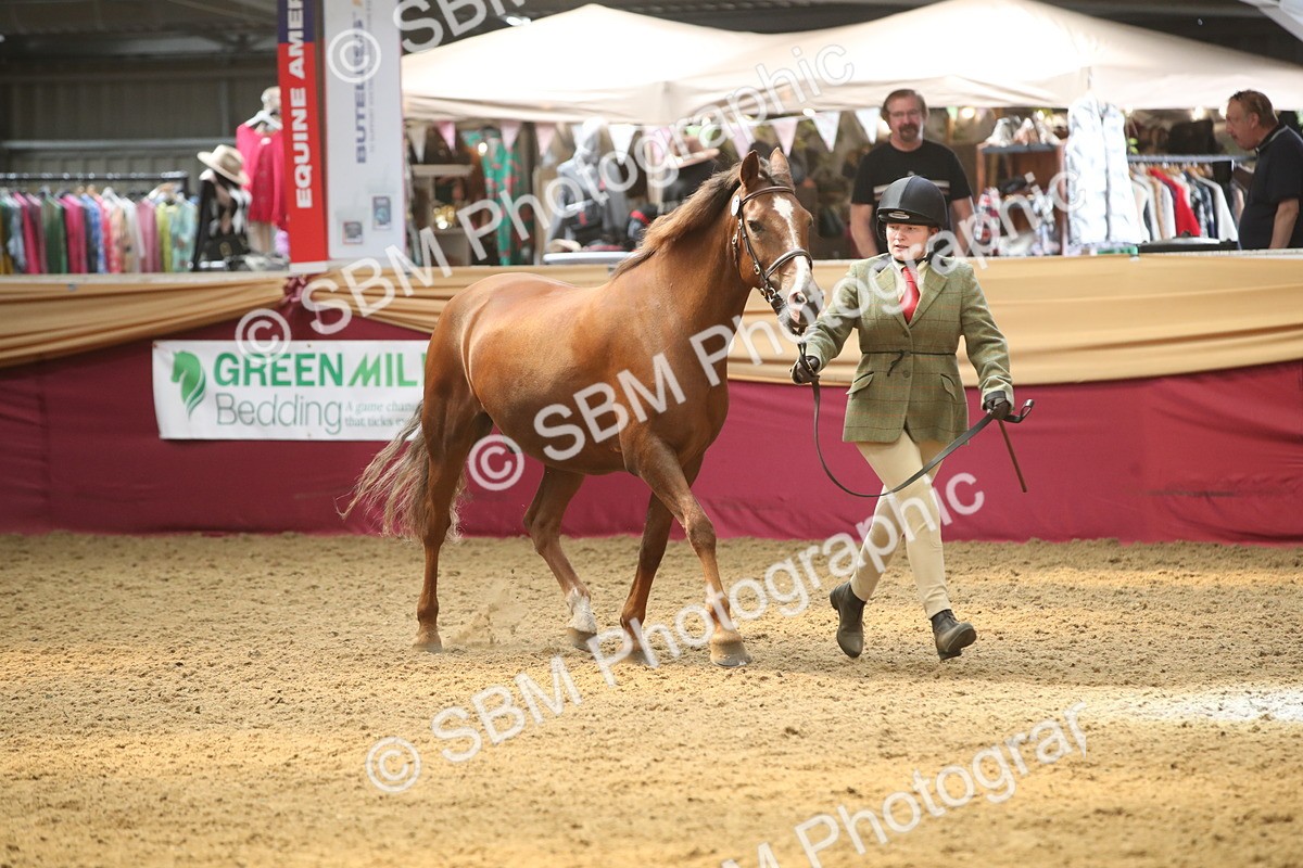 SBM_05622 - Class 9R - Regional IH Pre-Vet