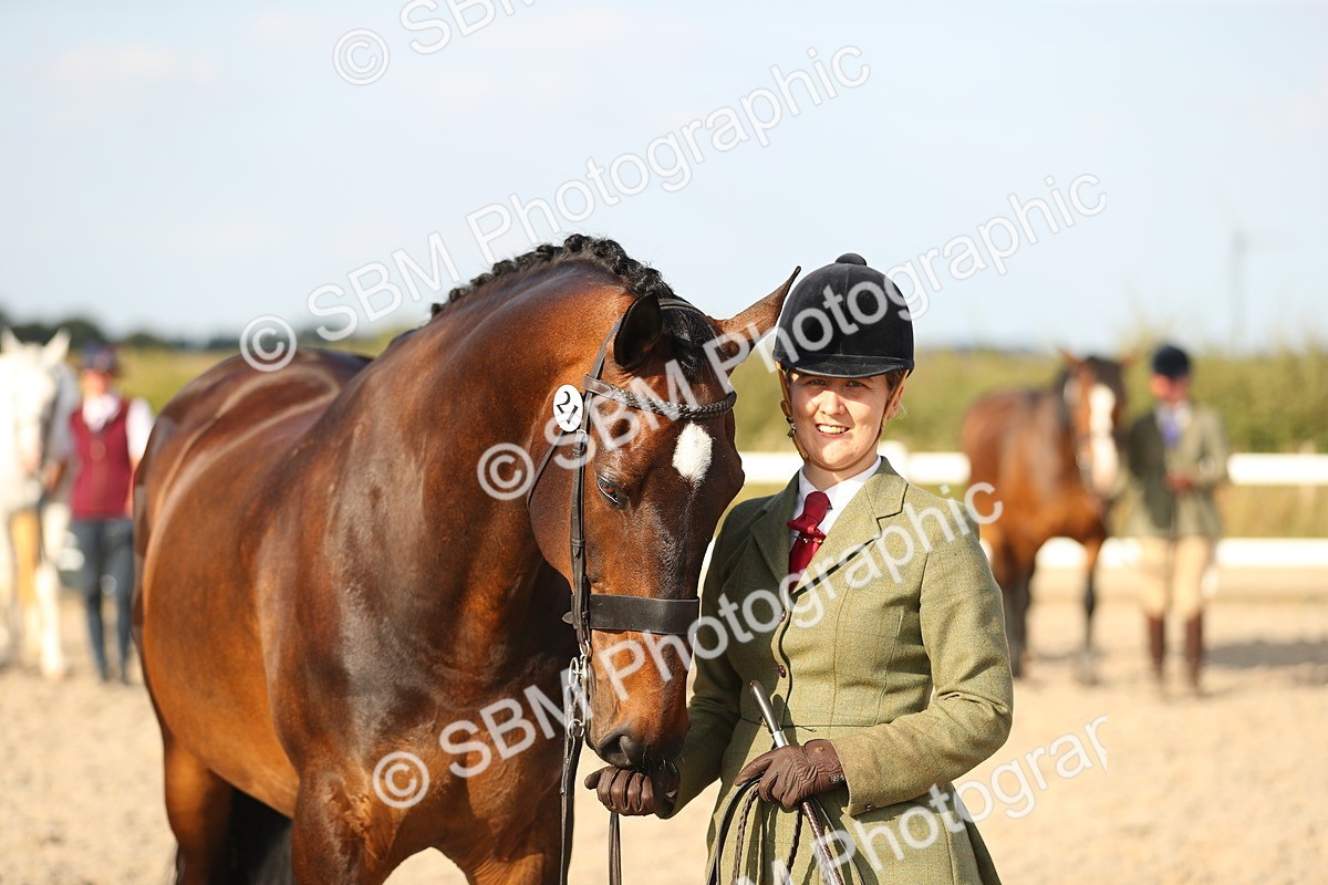SBM_08669 - Class 28 - IH Veteran Horse