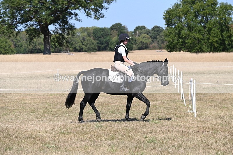 WJ6_8790 - Class 38 Ridden Riding Horse/Pony