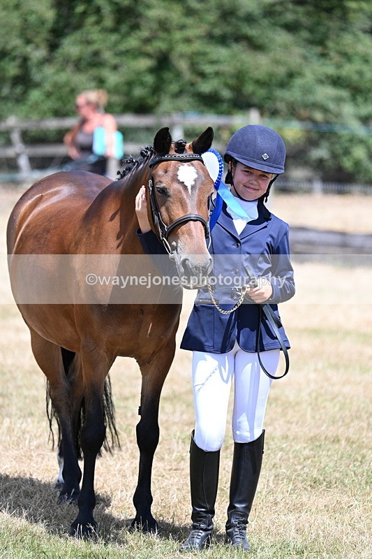 WJ7_2256 - Class 5 Most Handsome Gelding (up to 14.2hh) in hand