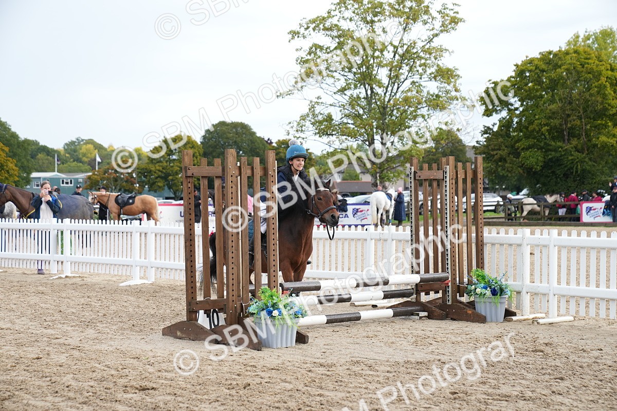 SBM_01941 - J54 - Clear Round 50cm