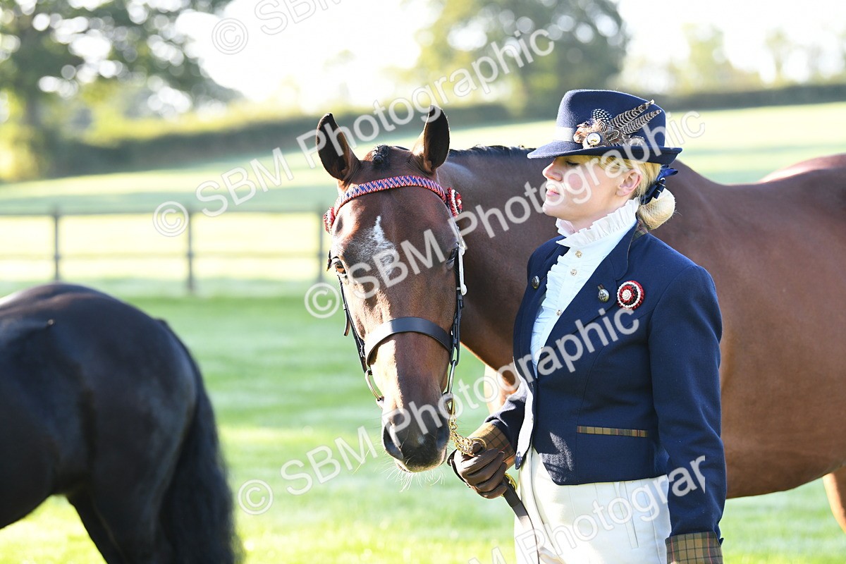 SBM_32795 - S15 - Condition & Turnout In Hand