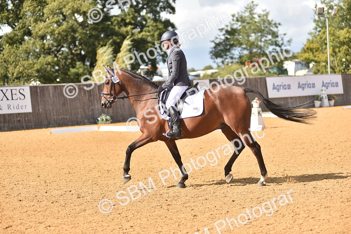 SBM_24204 - D4 - Small Tour Championship Intro 4