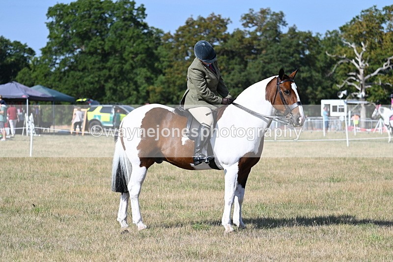 WJ7_2953 - Class 8 Ridden Tack & Turnout