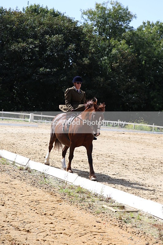 3E7A3577 - Class 7:  Preliminary Music