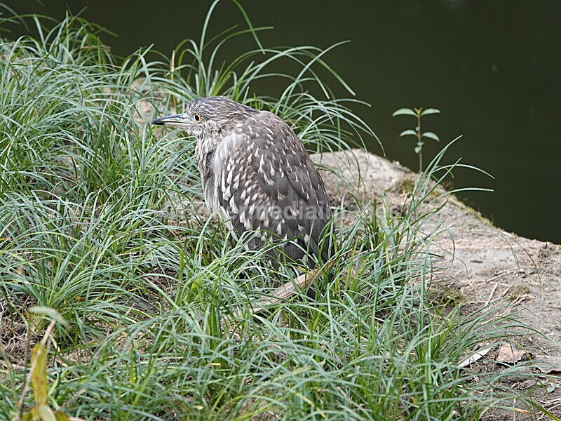 CHINA__0328 - China 2019
