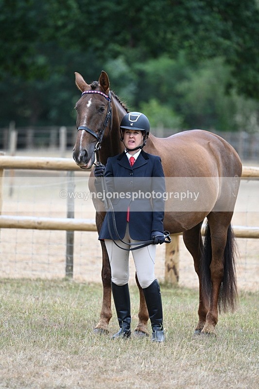 WJ7_9842 - Class 5a Most Handsome Gelding (above 14.2hh)