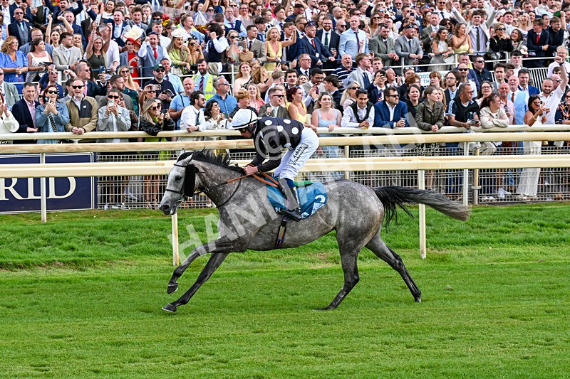 250726-Race 6-Likealot-1216 - Race 6 16.17pm Sky Bet Build A Bet Handicap