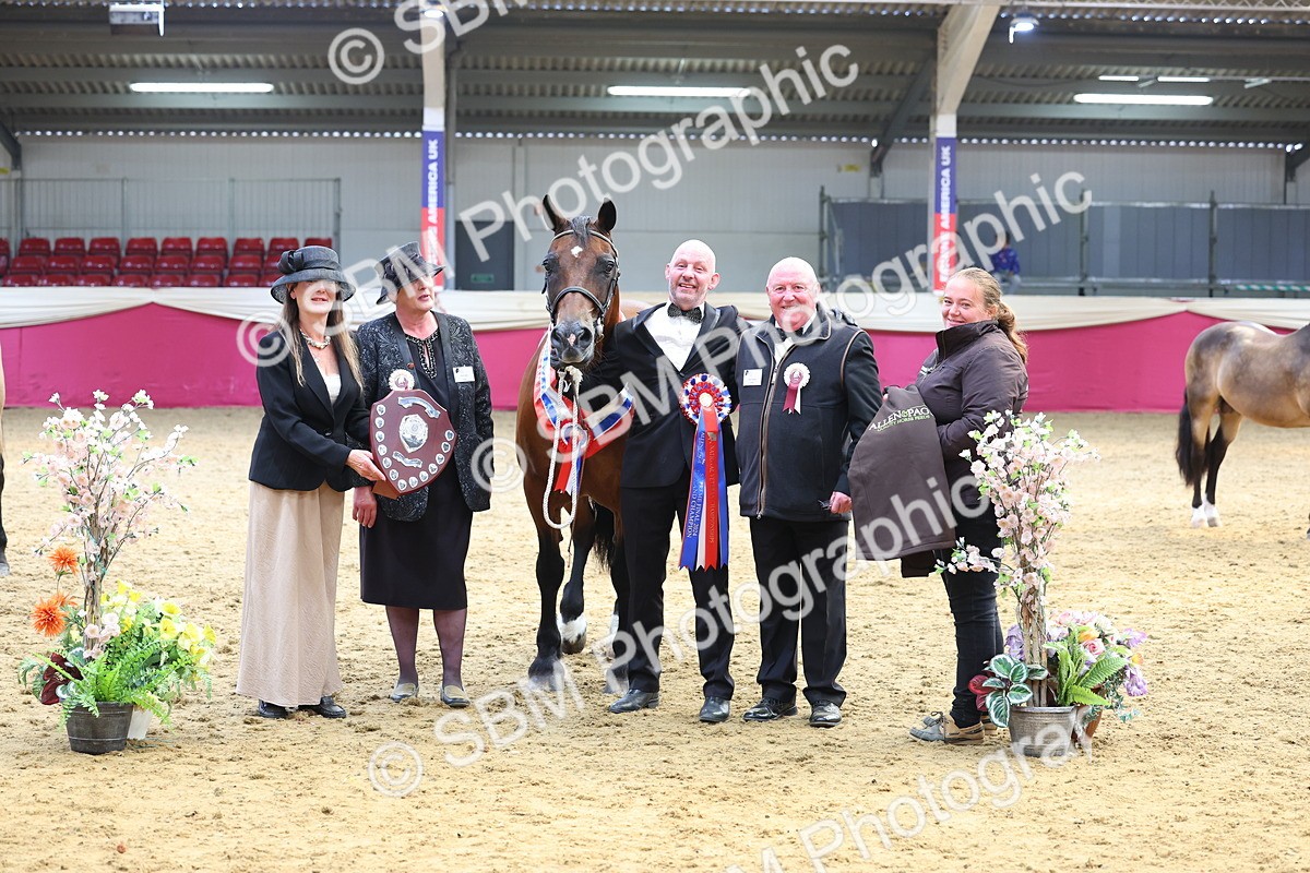 SBM_23247 - Supreme Final - IH Champion
