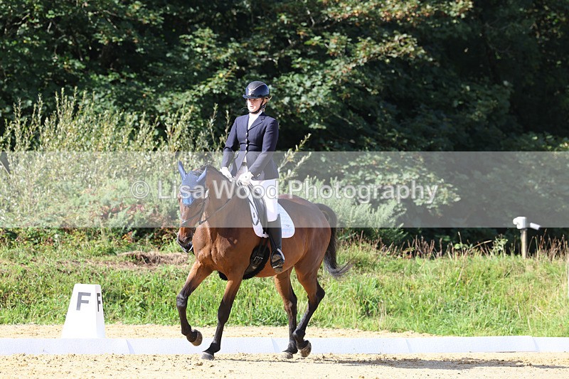 3E7A2554 - Class 1: Intro 4 2024 section A