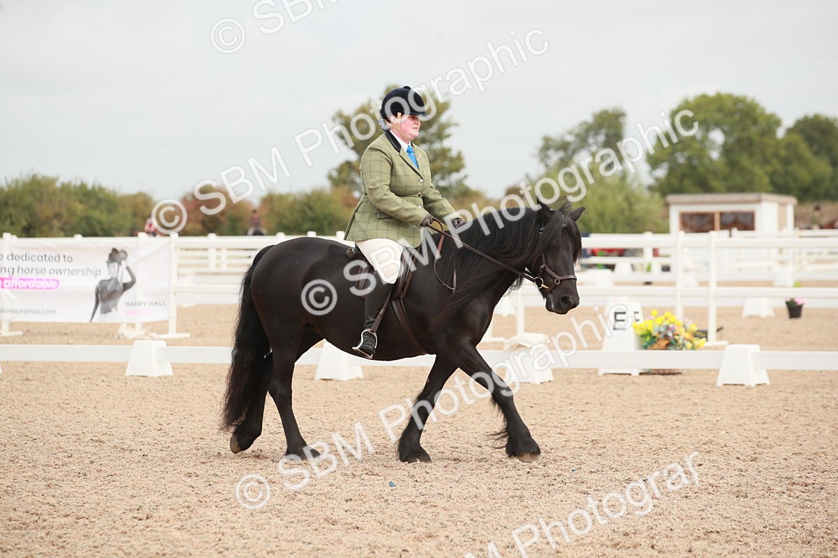 SBM_02558 - Class 30 - Intro 1