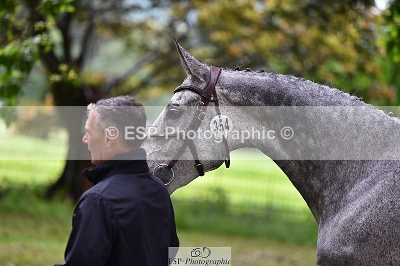 240522-152442-00322 - 354-COOLEY_STIRLING-Andrew_James