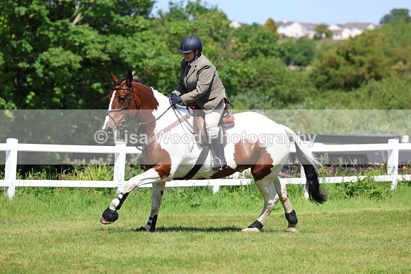 3E7A6888 - Class 30: Novice Working Hunter