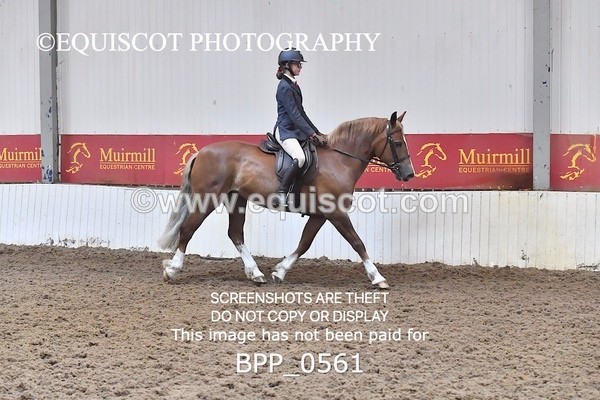 BPP_0561 - RING 2