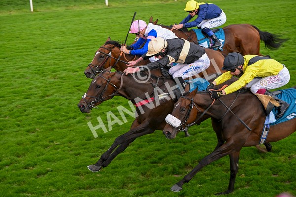 220824-Race 7-Alfa Kellenic-8096 - Race 7 5.20pm British EBF Fillies' Handicap