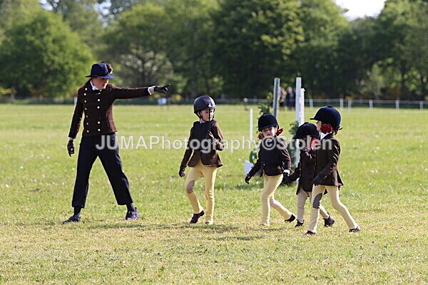 IMG_2102 - Working Hunter