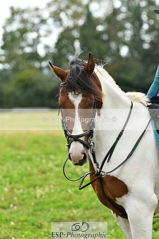 230817-153940-01565 - Theo's 2nd Group - XC